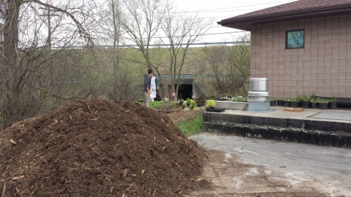 Winton Rain Garden (6)